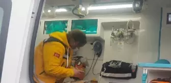 Otomobil dere kenarına devrildi; Çinli sürücü yaralandı