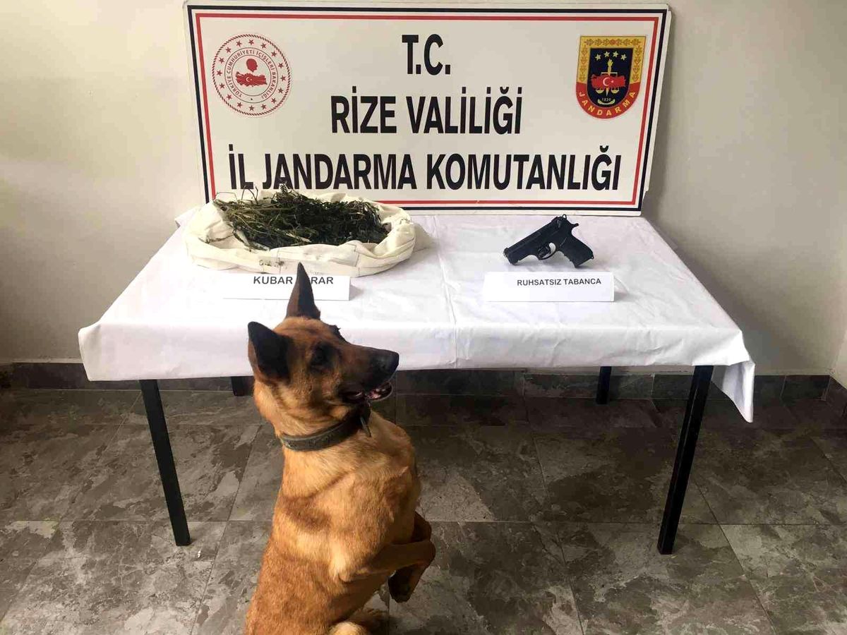 Rize\'de uyuşturucu operasyonu: 2 gözaltı