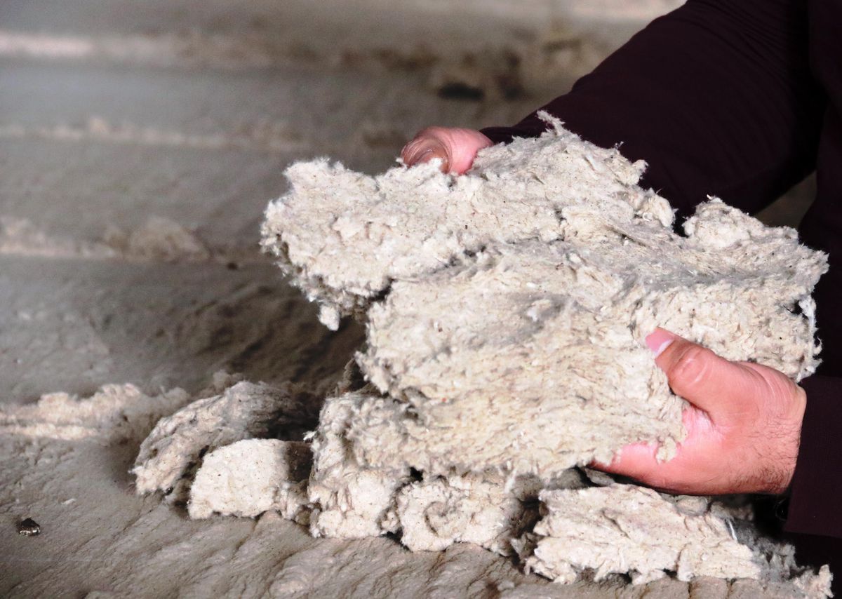 Şanlıurfa'da pamuğun her parçası değerlendiriliyor