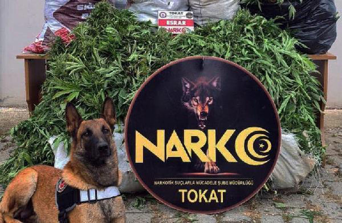 6 İLDEKİ UYUŞTURUCU OPERASYONUNDA 13 TUTUKLAMA