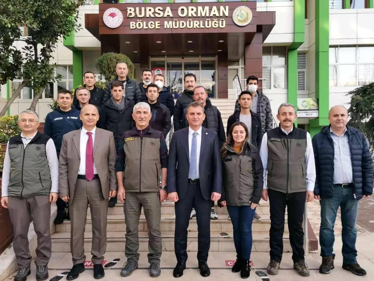 Bursa\'da defne üretimine yakın markaj