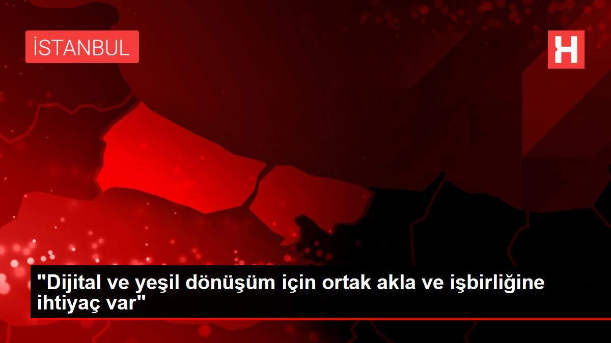 'Dijital ve yeşil dönüşüm için ortak akla ve işbirliğine ihtiyaç var'
