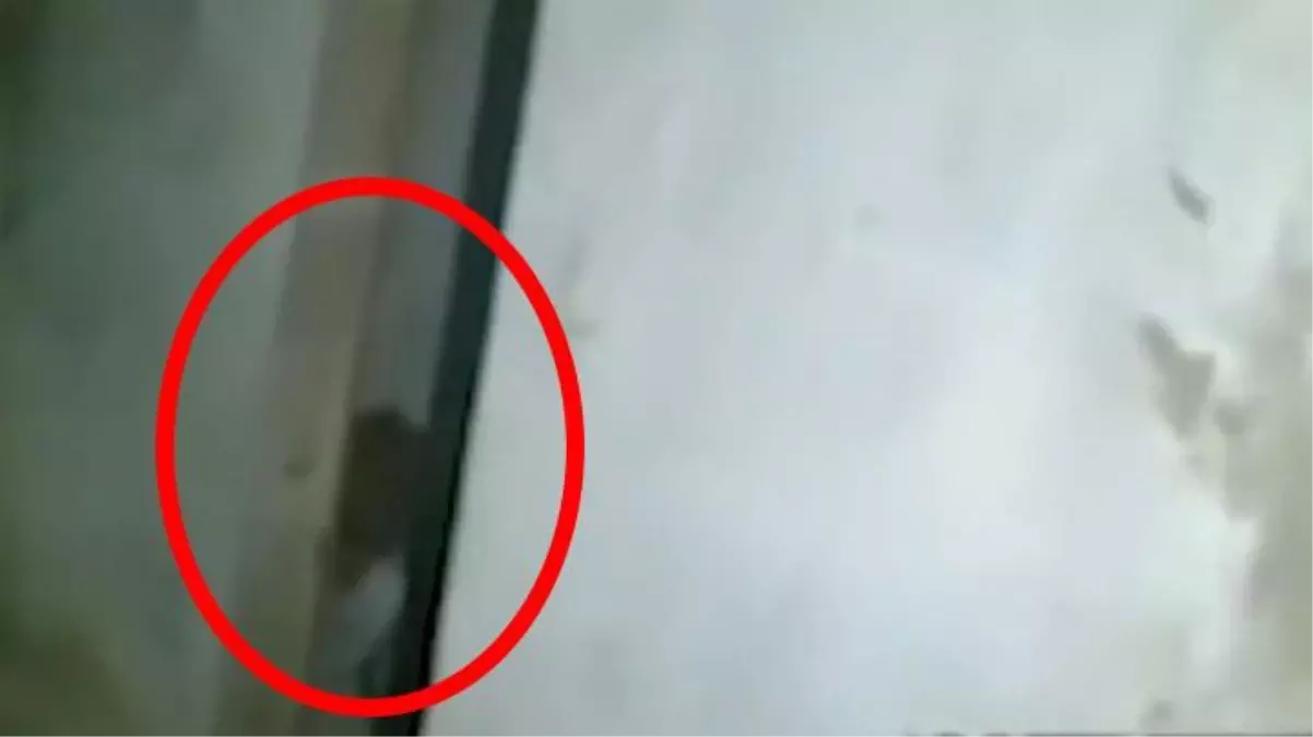 Dünya bunu konuşuyor! Terk edilmiş evde kapı aralığından bakan yaratık görenleri ürküttü