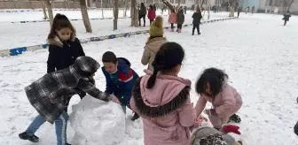 Erzurum, Ardahan, Ağrı ve Kars'ta kar yağışı etkili oldu