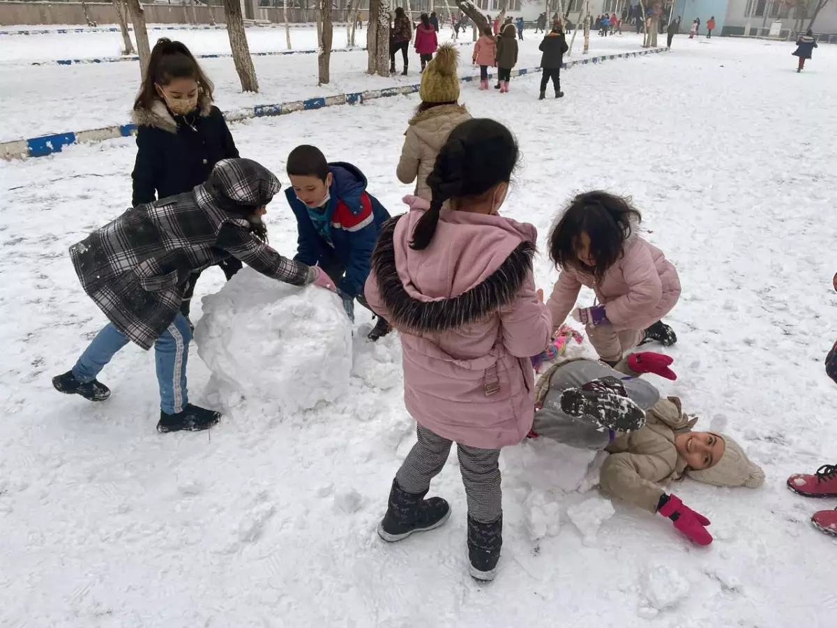 Erzurum, Ardahan, Ağrı ve Kars\'ta kar yağışı etkili oldu