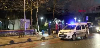 Kartal'da freni boşalan kamyonet, ağacı ve otobüs durağını yıkarak parka daldı