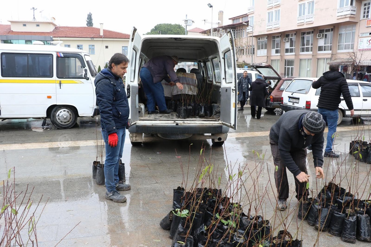Manisa Büyükşehir 7 Bin Ceviz ve Badem Fidanı Dağıttı