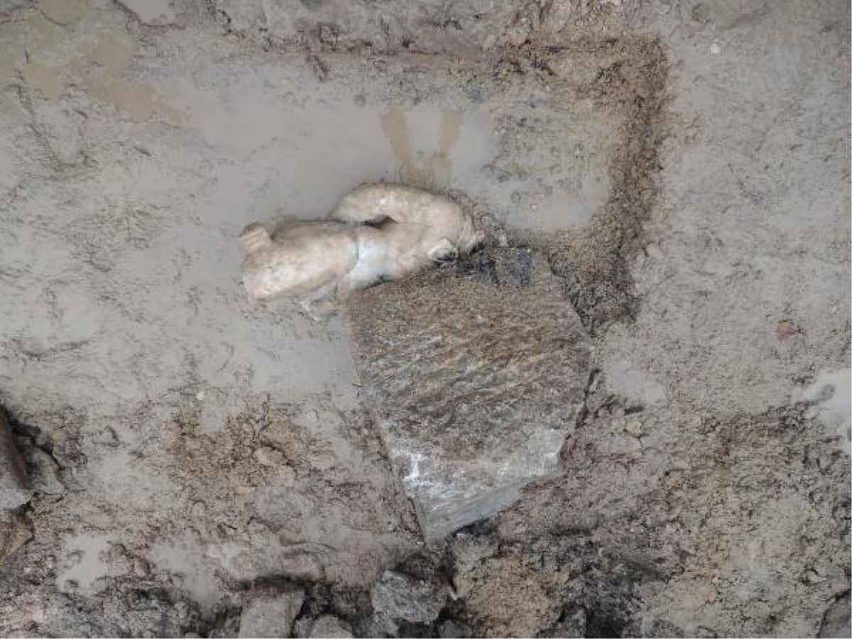 Marble statue of \'Hercules\' found in an excavation in Aizanoi Ancient City