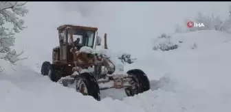 Mersin'de yayla yolları karla kaplandı