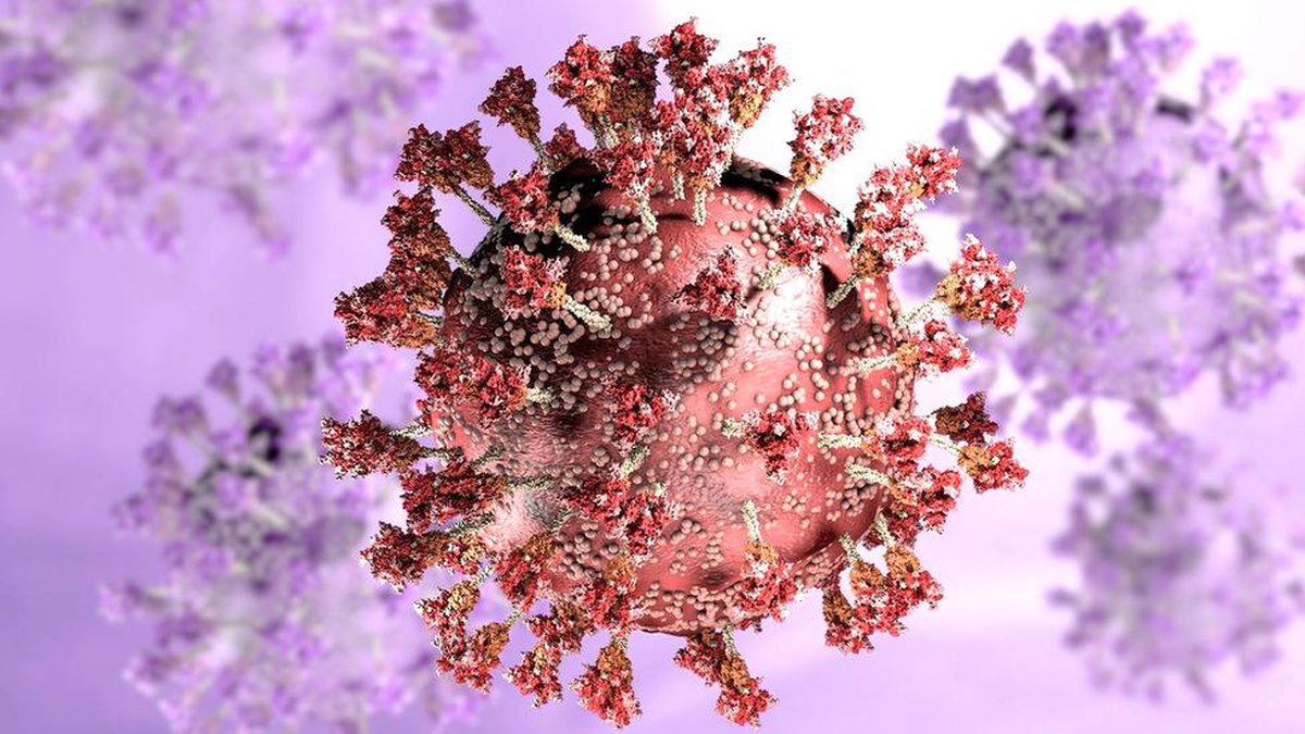 Omicron varyantı: Üçüncü aşı hastalığı şiddetli geçirmeyi \'en az yüzde 80 oranında engelliyor\'