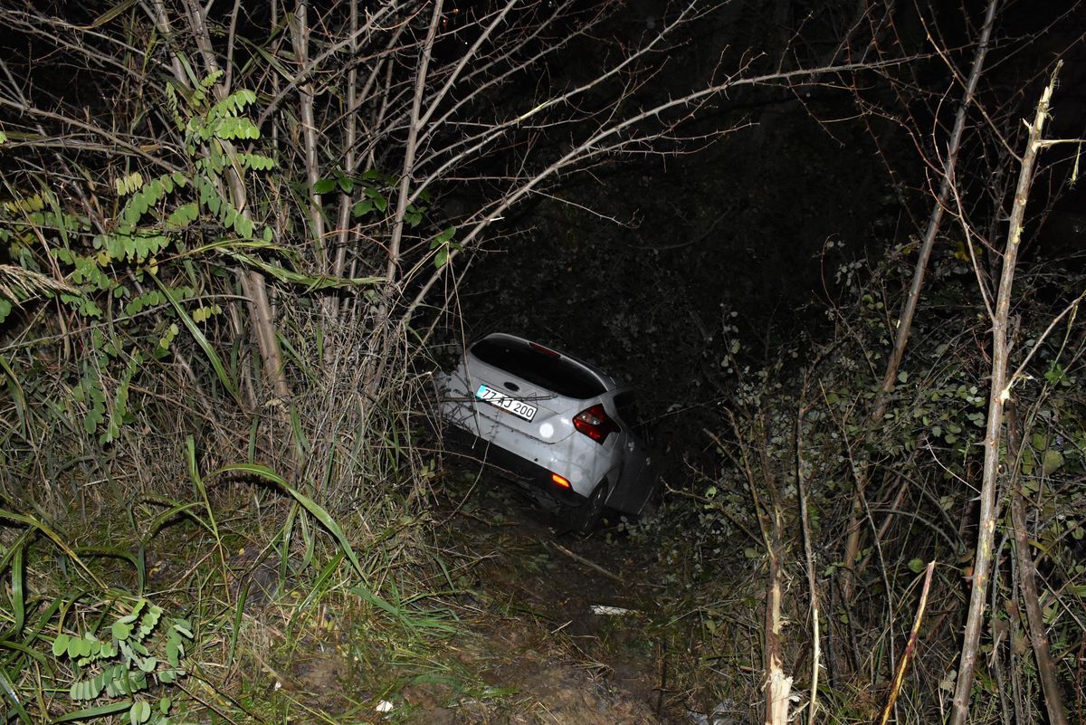 Ordu\'da boş araziye devrilen otomobildeki iki kişi yaralandı