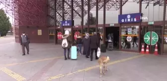 Otobüs biletleri uçak fiyatlarını yakaladı