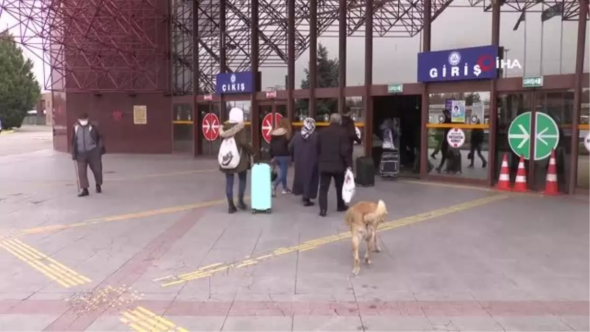 Otobüs biletleri uçak fiyatlarını yakaladı