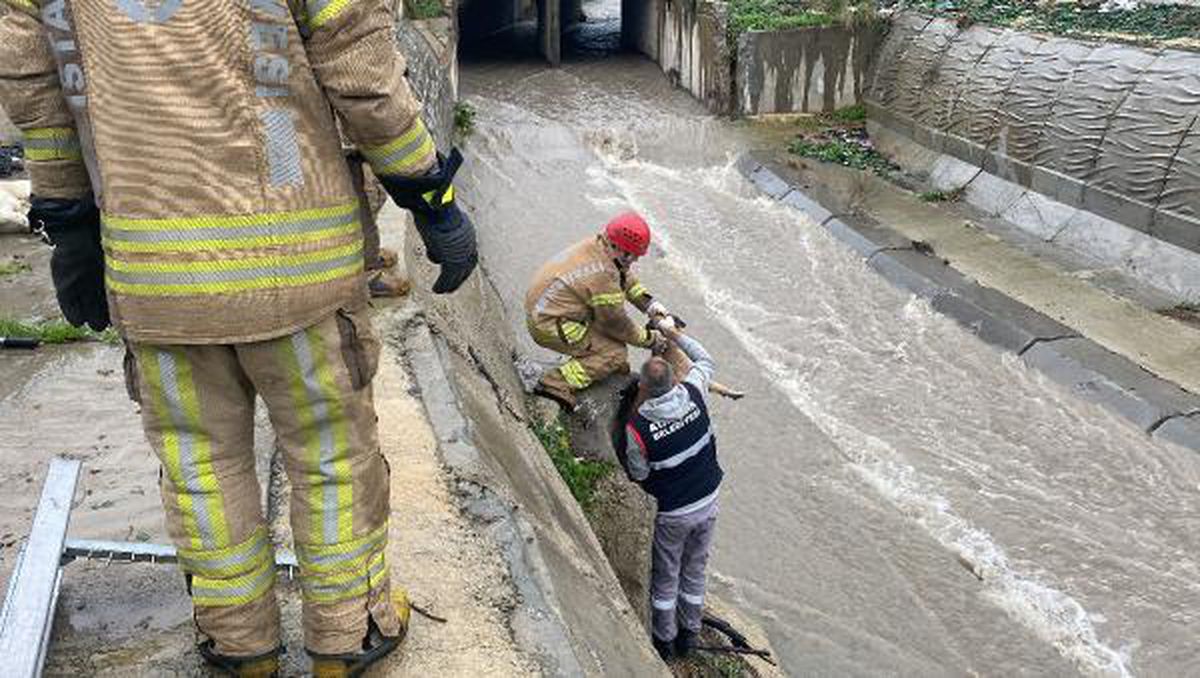 Rescue operation for 6 dogs that fell into a stream in Istanbul