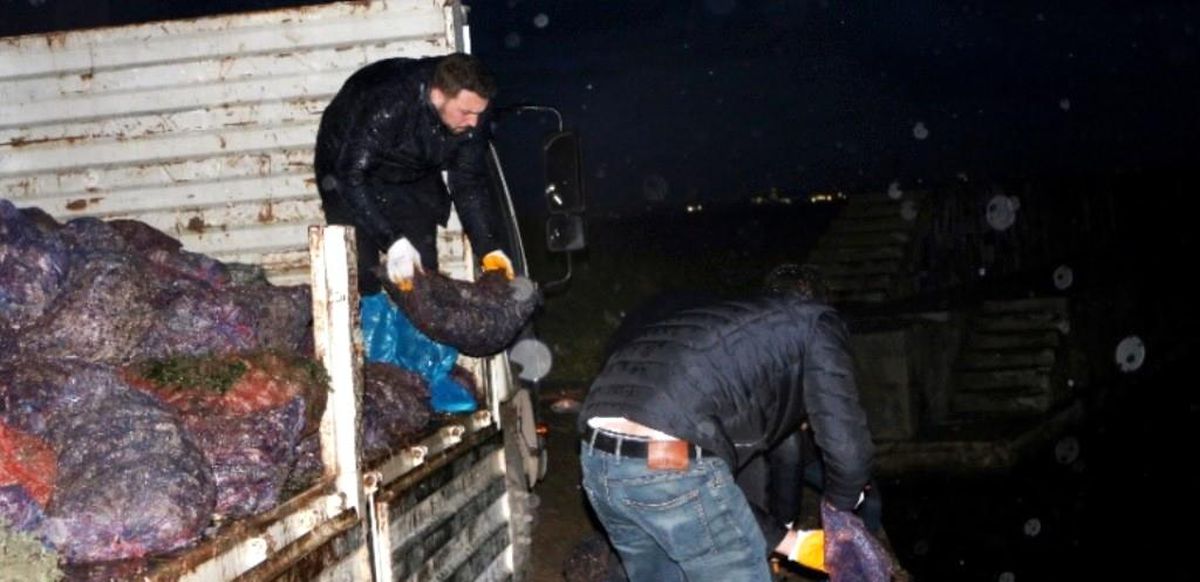 Yalova\'da 8 ton kaçak avlanan midye denize bırakıldı