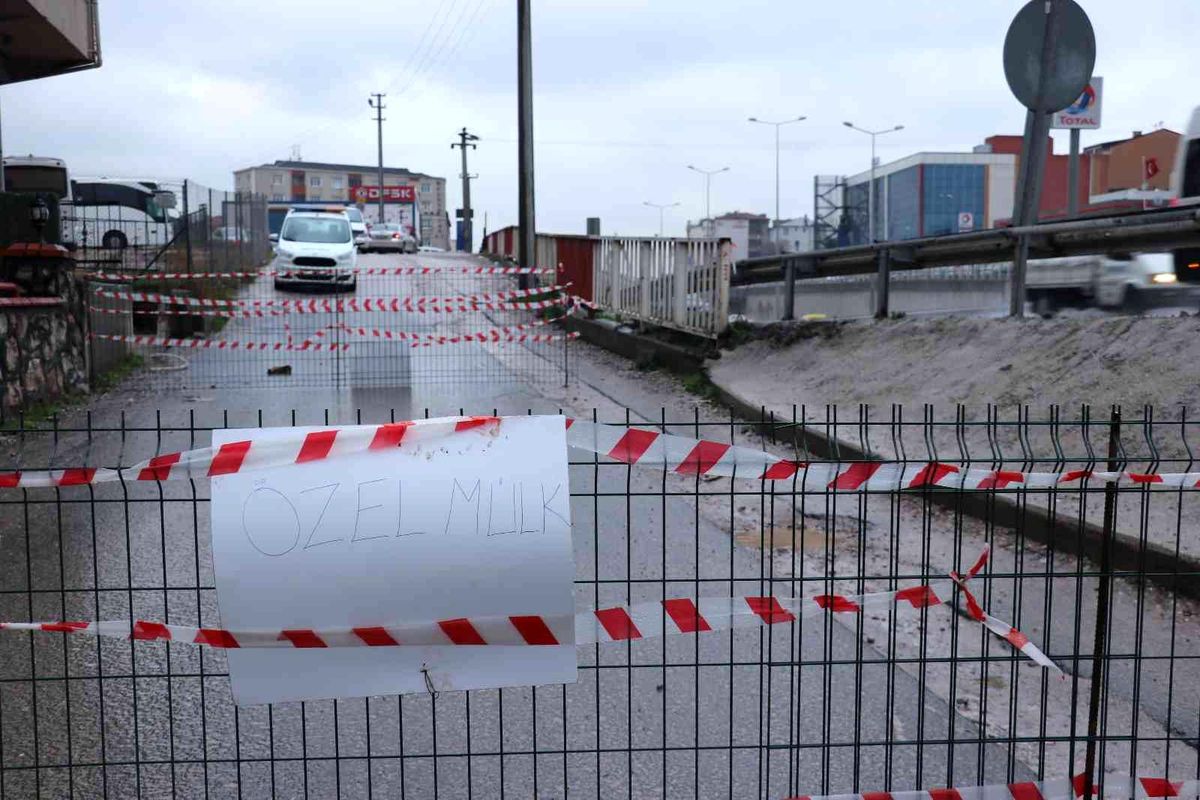 \'Arsamdan yol geçti\' diyerek işlek yolu trafiğe kapattı