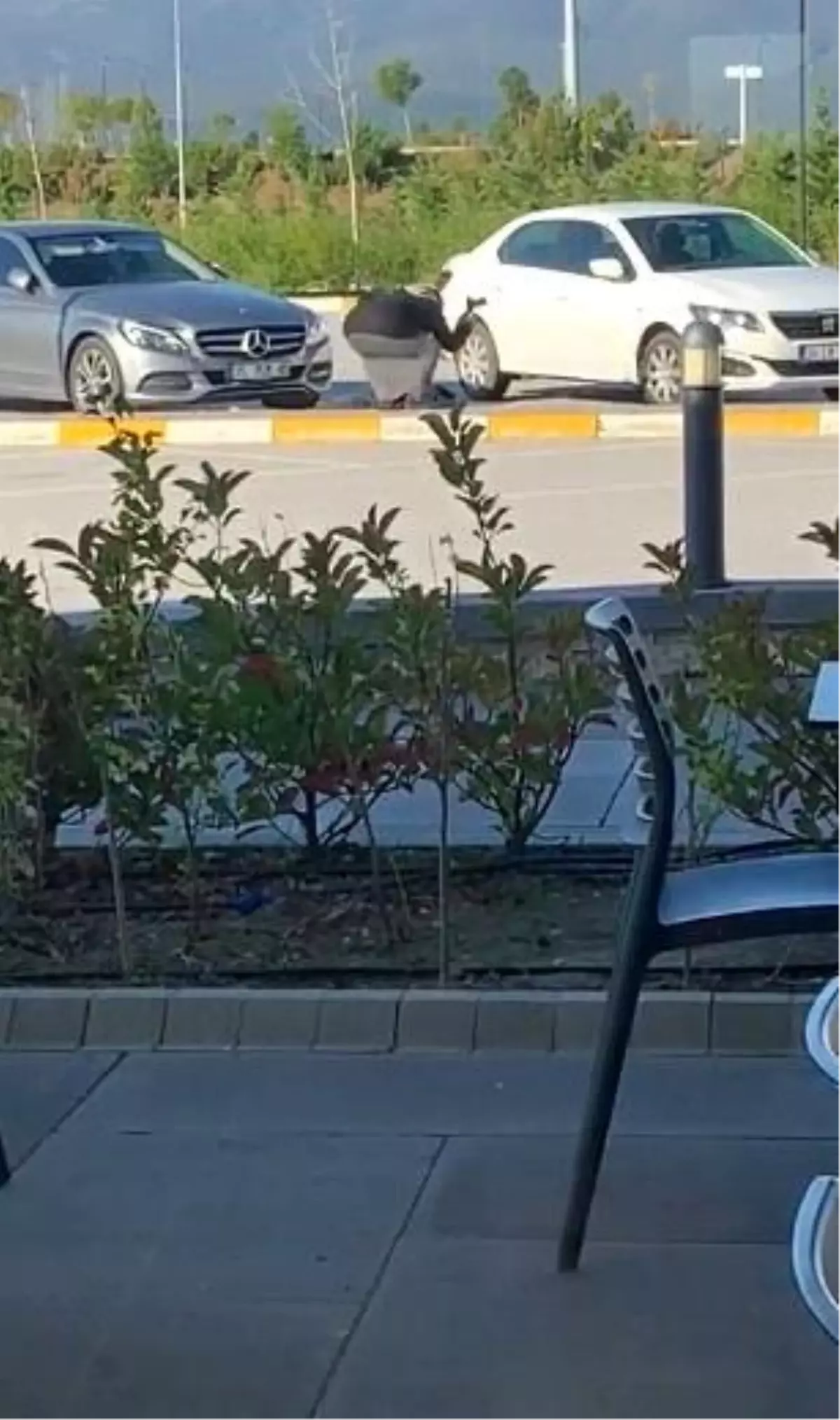 'İstemeyerek öldürdüm' dediği cinayette, görüntüler ortaya çıkınca ömür boyu hapis yedi