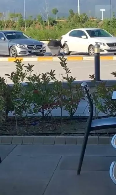 Kamera görüntüleri gerçeği ortaya çıkardı! İstemeyerek öldürdüm dediği cinayette, ömür boyu hapis yedi Kamera görüntüleri gerçeği ortaya çıkardı! İstemeyerek öldürdüm dediği cinayette, ömür boyu hapis yedi