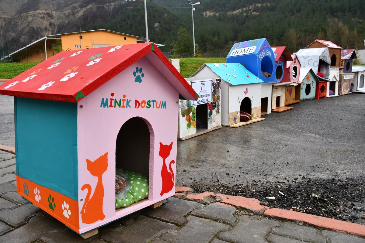 Karabük\'te anaokulu öğrencileri sokak kedileri için kulübe yaptı