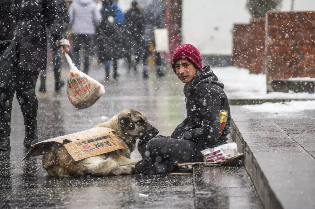 Yoğun kar yağışı etkili oldu