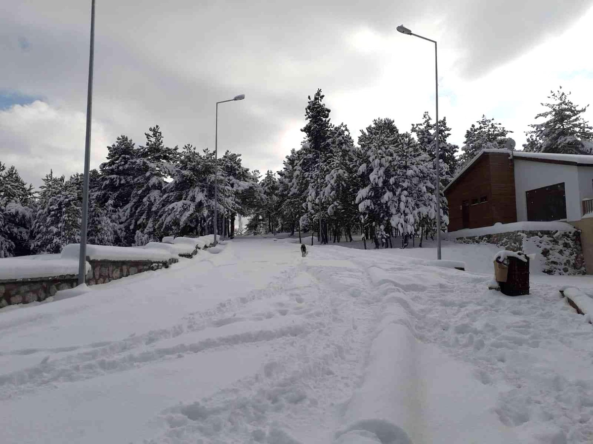 Küçükelmalı Tabiat Parkı beyaza büründü