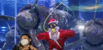 Noel Baba kostümlü dalgıç balıklarla yüzdü, turistleri selamladı