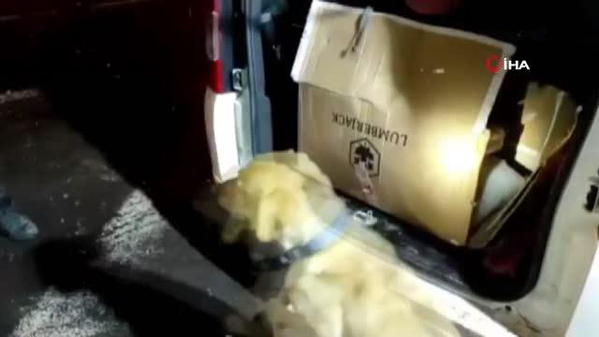 Doğu illerinden uyuşturucu taşıyan 4 şahıs uygulama noktasında yakalandı
