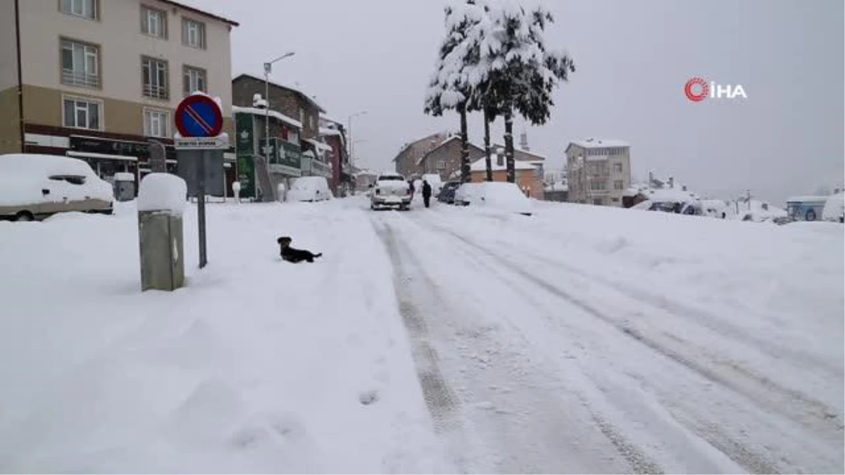 Konya\'nın Hadim ilçesinde kar kalınlığı yarım metreyi geçti