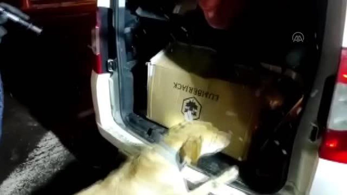 Son dakika haber... Uyuşturucu operasyonunda 4 zanlı yakalandı