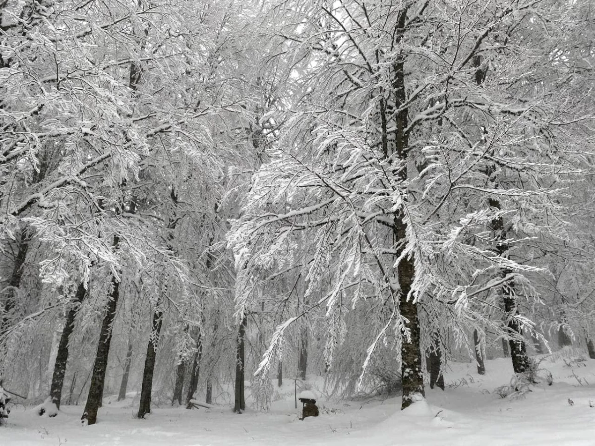 Alaçam\'da kartpostallık kar manzaraları
