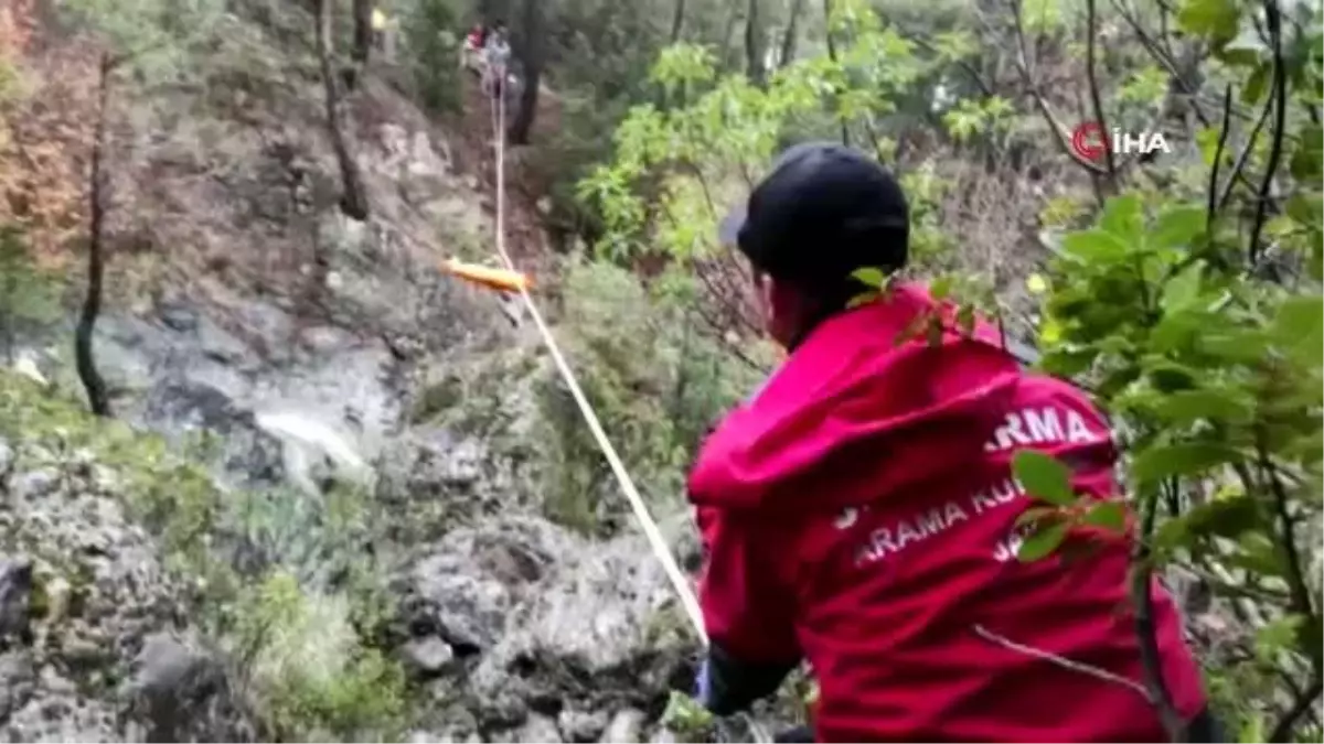 Doğa sever tır sürücüsünden geriye ayı beslerken çektiği görüntüler kaldı