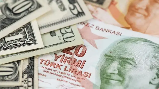 Dövize endeksli TL mevduat sistemi nasıl işleyecek?