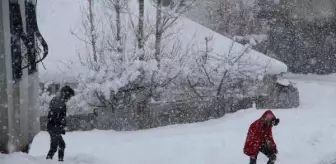 Elazığ ve Bingöl Karlıova'da 46 köy yolu, kardan kapandı (3)