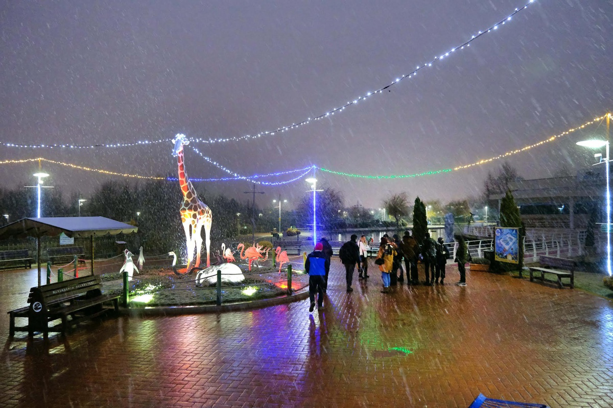 Eskişehir Hayvanat Bahçesi, yaklaşan yeni yıl heyecanını yılbaşı süslemeleri