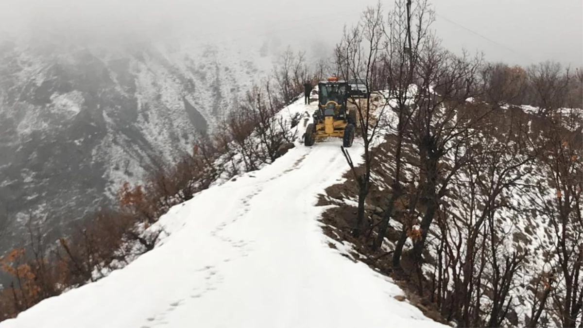 Kulp\'ta belediyenin kar temizleme çalışmaları tamamlandı