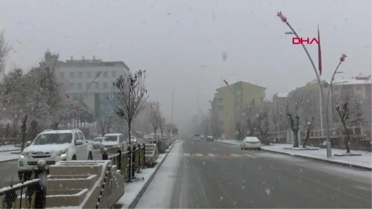 MUŞ\'TA KAR ETKİLİ OLDU, 124 KÖY YOLU ULAŞIMA KAPANDI