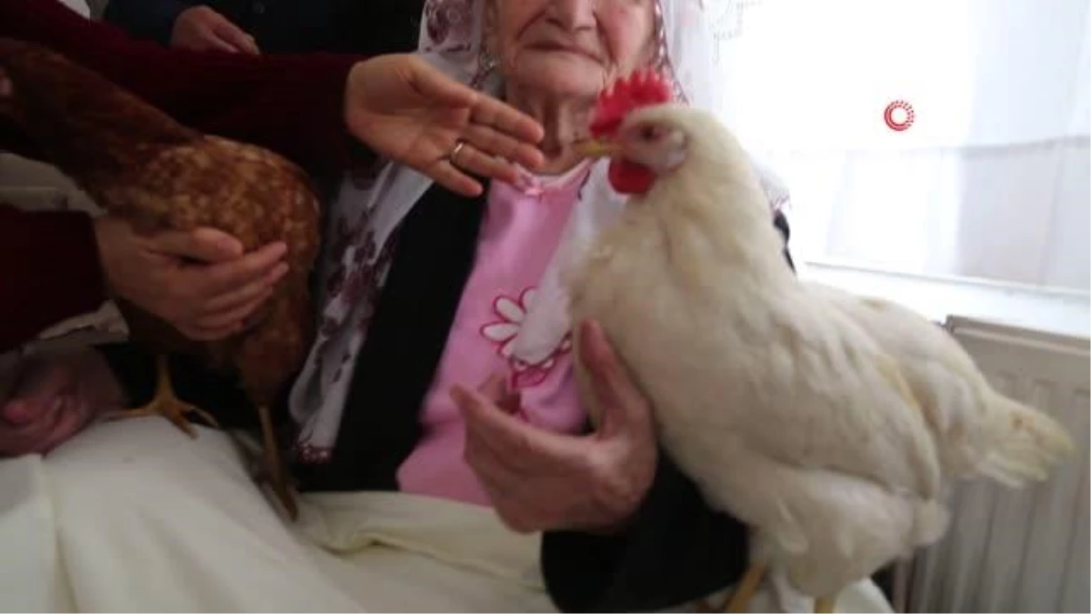 96 yaşındaki hasta annelerine tavuklu moral