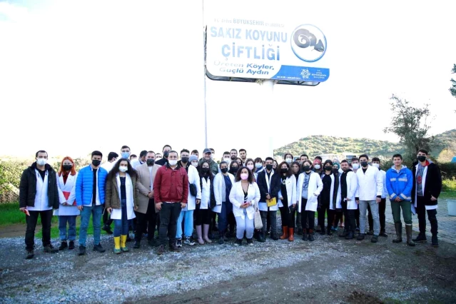ADÜ Veteriner Fakültesi öğrencileri Sakız Koyunu Çiftliği'nde ders yaptı