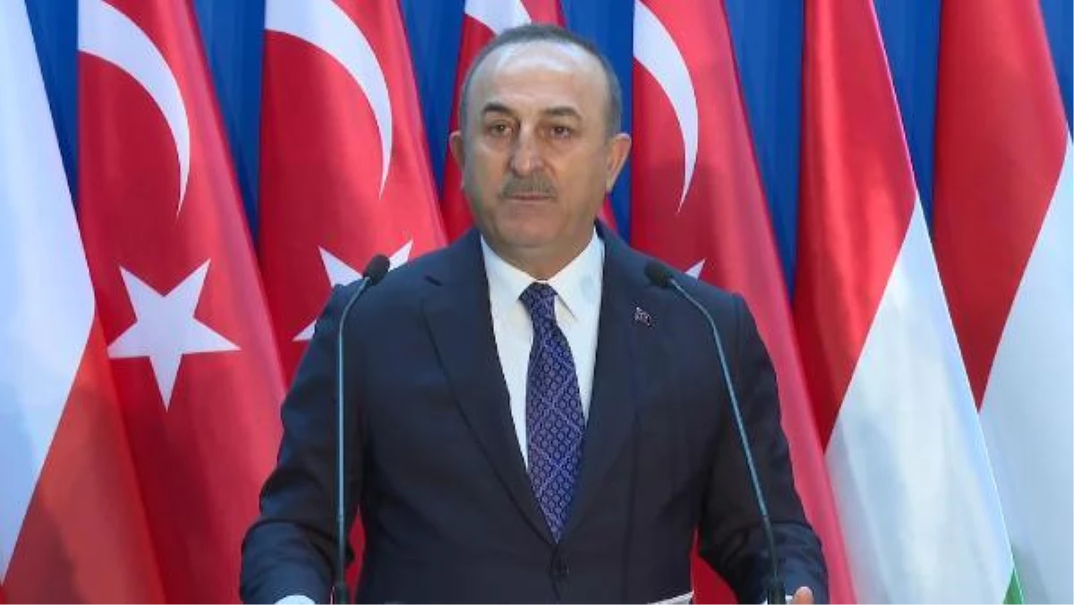 Dışişleri Bakanı Çavuşoğlu, Vişegrad Grubu Dışişleri Bakanları 6. Toplantısı\'nda konuştu Açıklaması