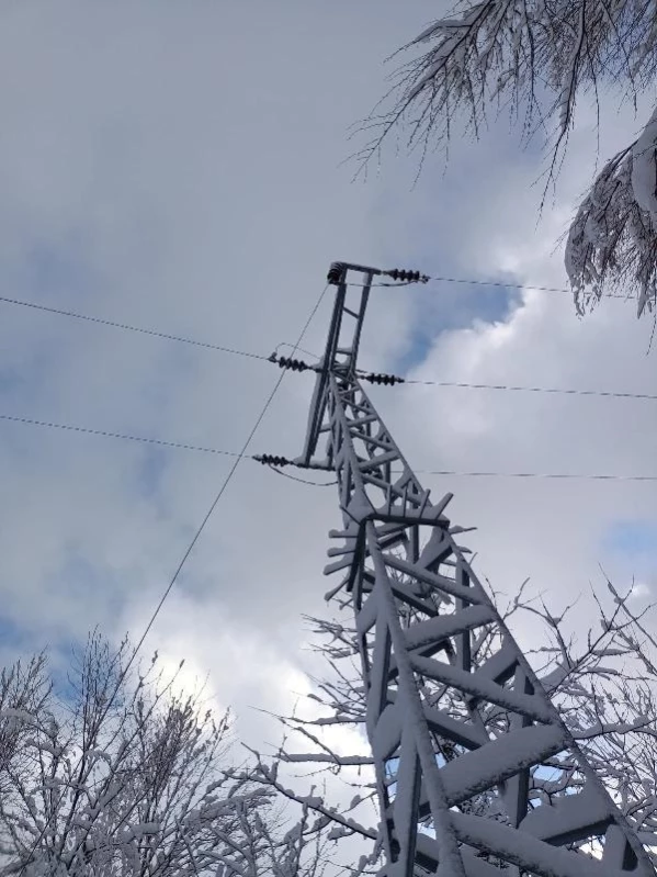 Başkent EDAŞ Batı Karadeniz'de kesintisiz elektrik için sahada