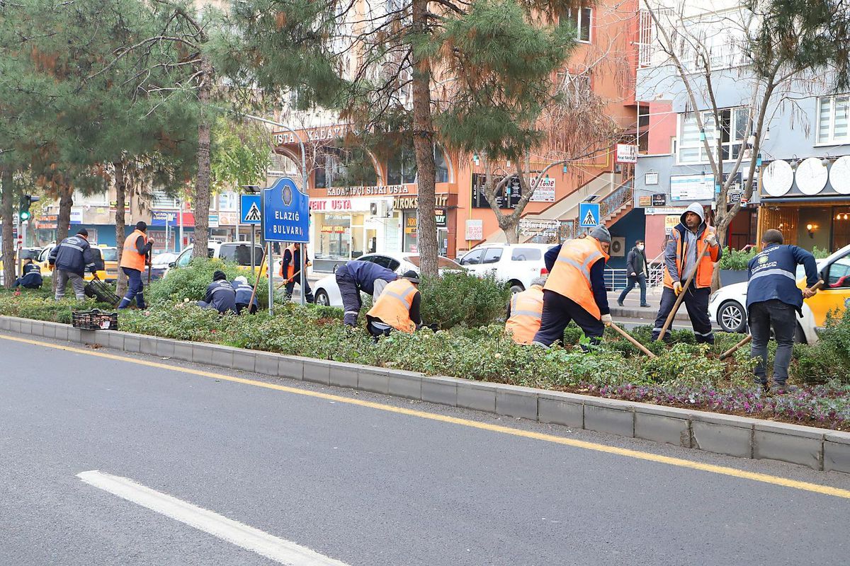 Diyarbakır\'da 210 bin lale soğanı toprakla buluşuyor