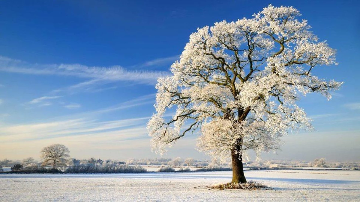 2019 kış gündönümü: En kısa gün tarih boyunca neden ve nasıl kutlandı?