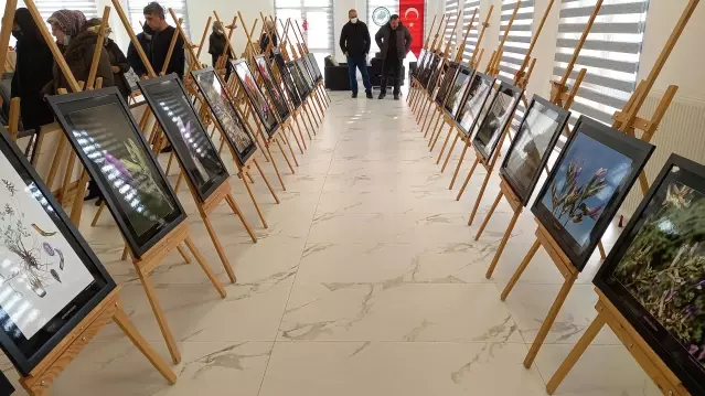 Endemik Beypazarı geveni nin fotoğrafları sergileniyor