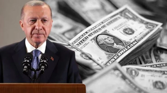 Erdoğan&#39;ın TL mevduat açıklamasının ardından çakılan dolar güne 13,50  seviyesinde başladı
