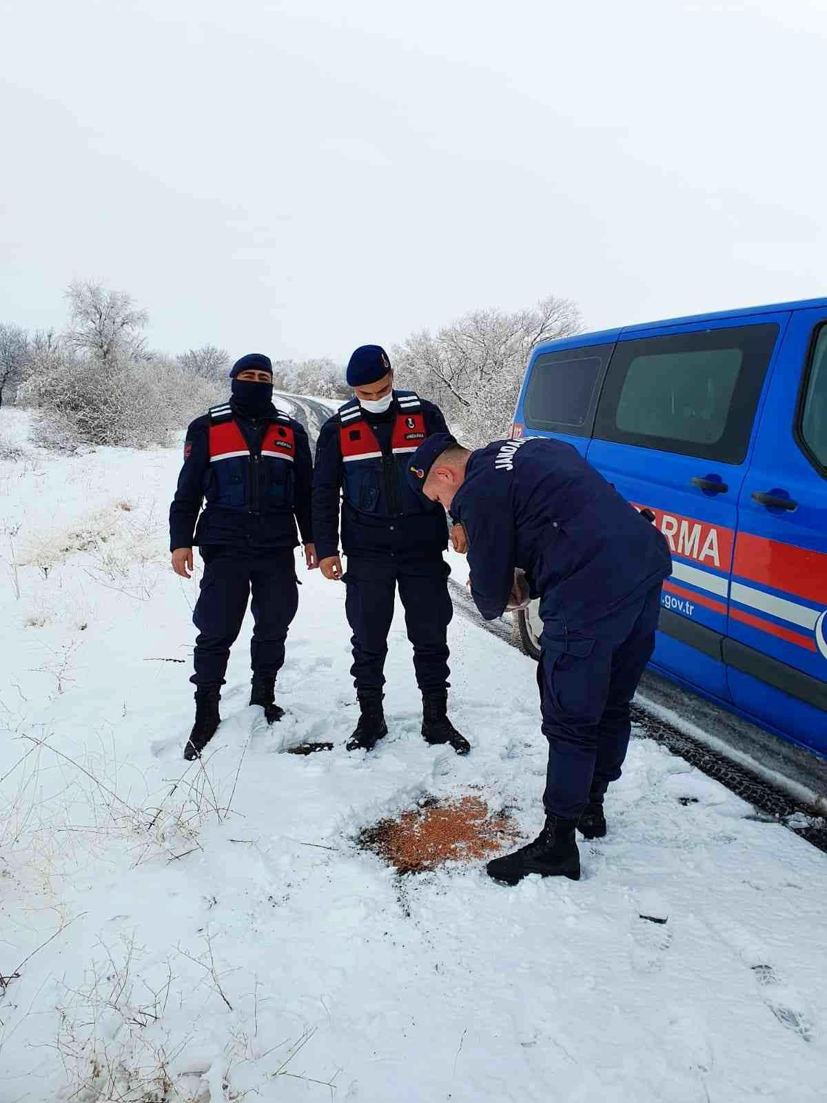 Jandarma sokak hayvanlarını unutmadı