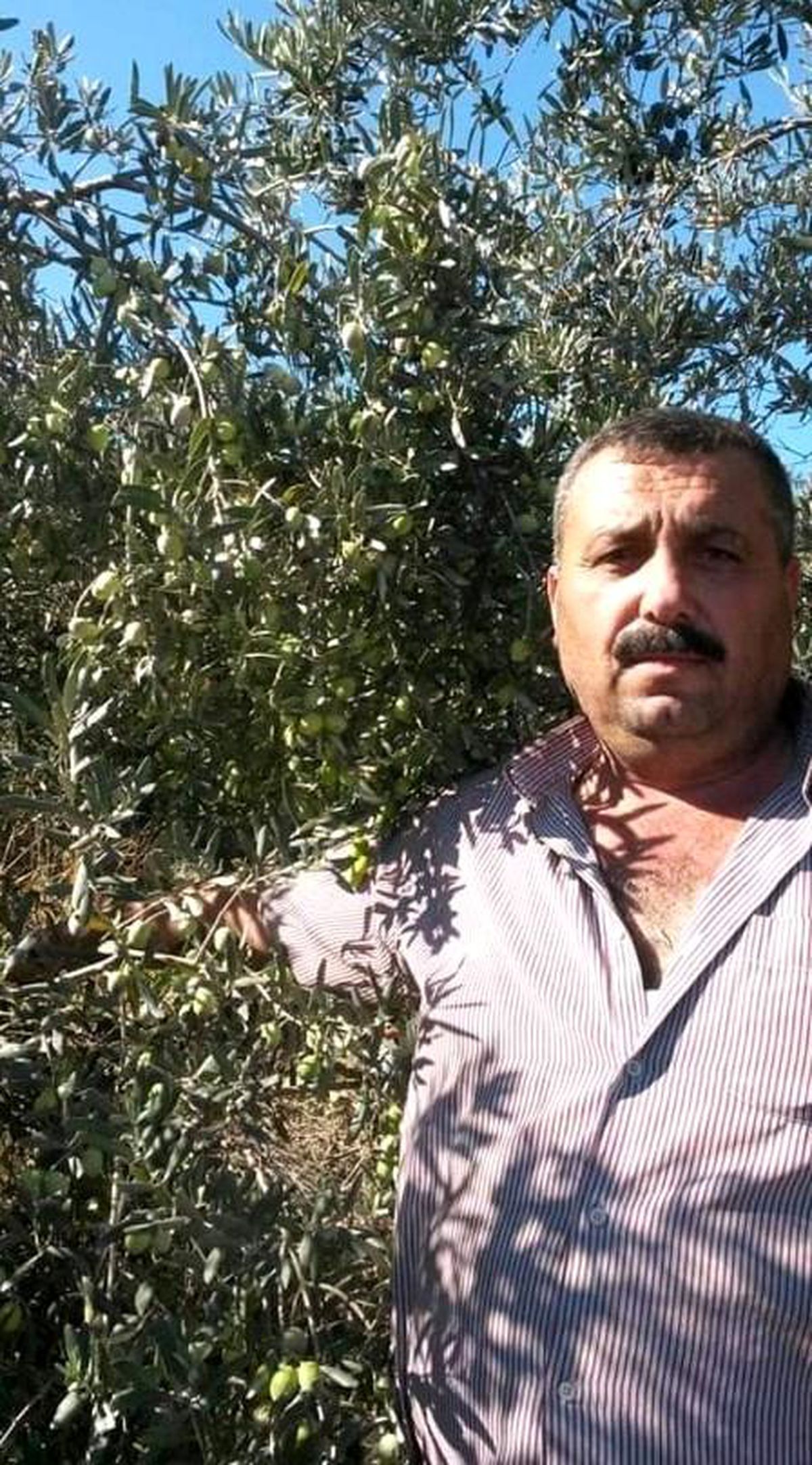 Son dakika haberleri | Kazada yaralanan tır şoförü hayatını kaybetti