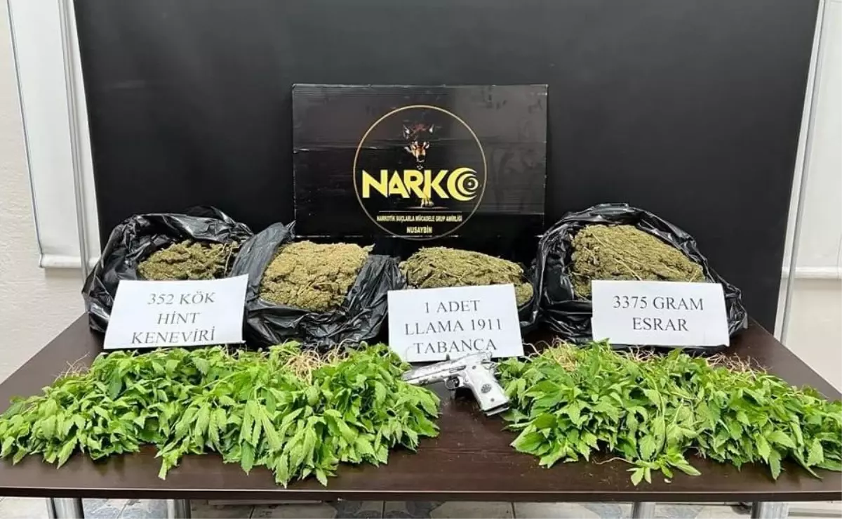 Son dakika! Mardin'de uyuşturucu operasyonunda 1 kişi tutuklandı