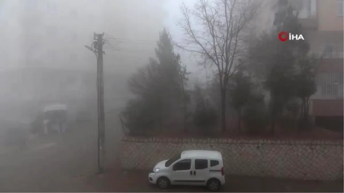 Mardin'de yoğun sis