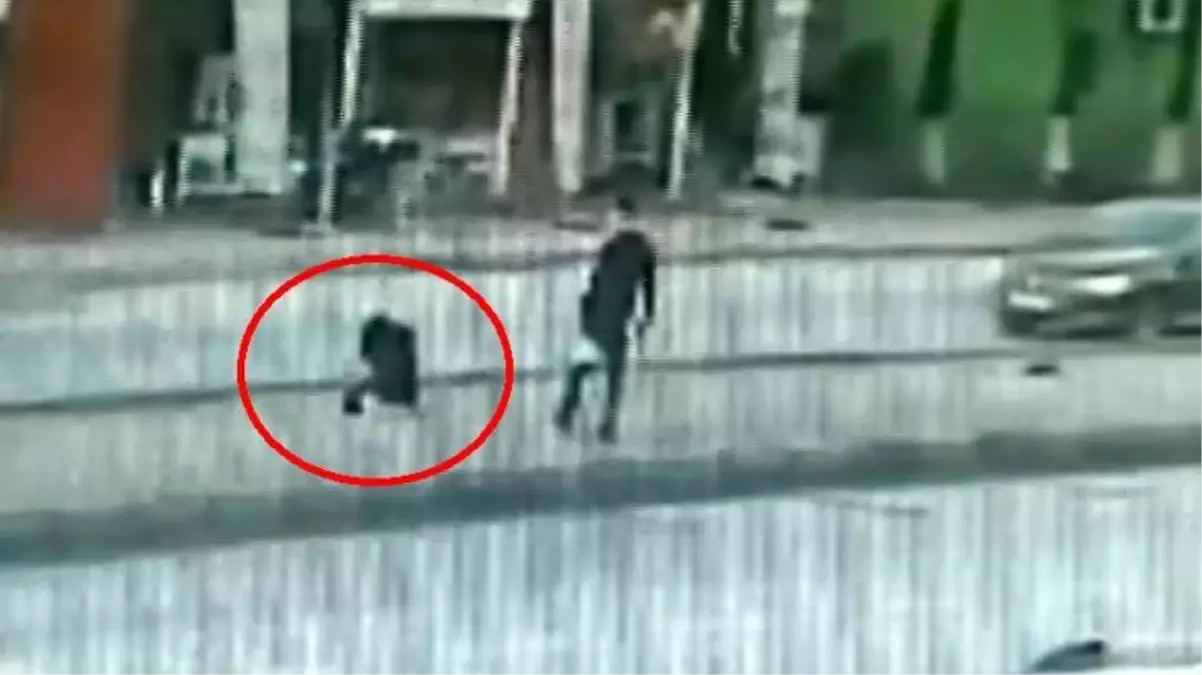 Otomobil köpeğe çarptı, kazayı gören kadın dizlerinin üzerine çöküp kaldı