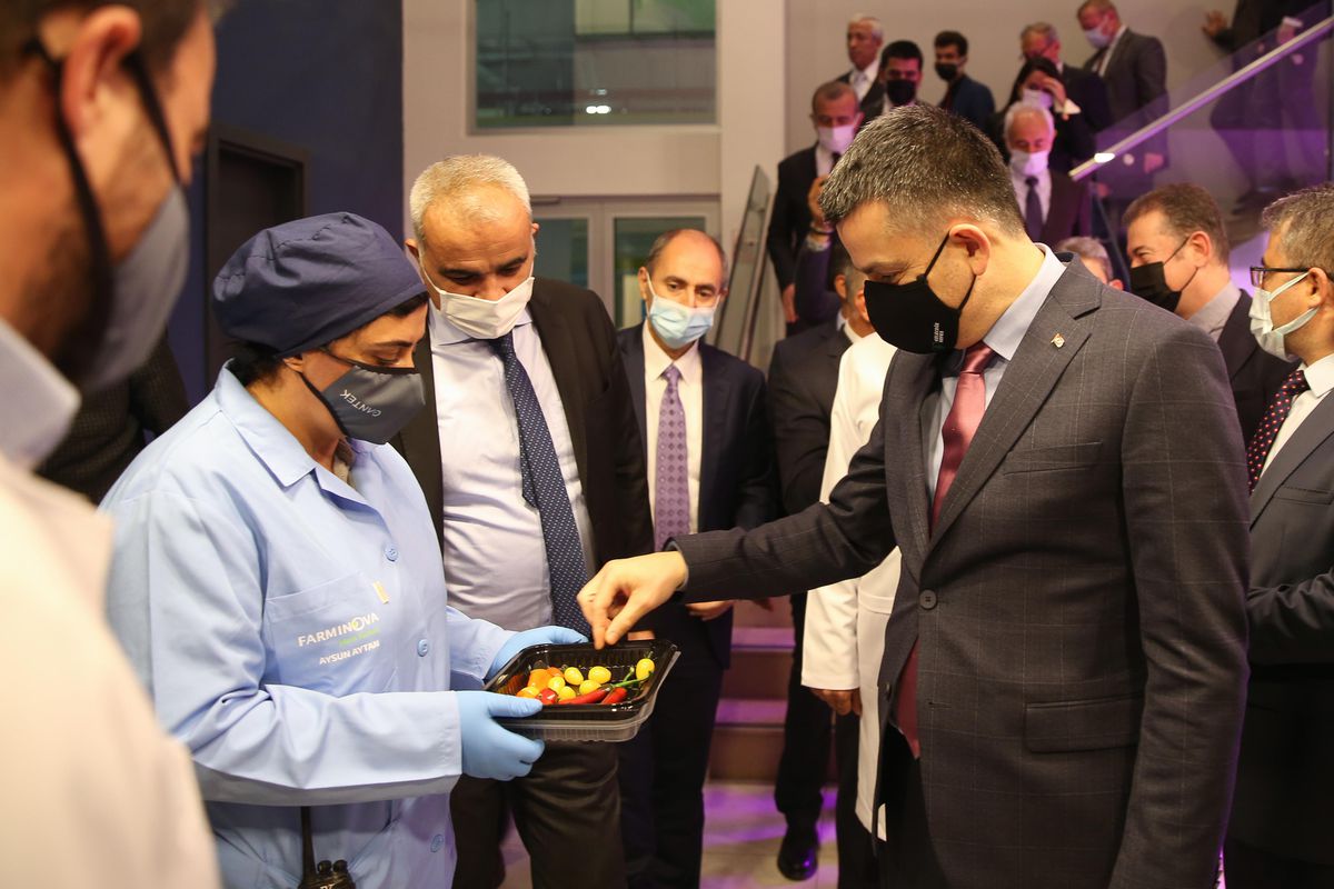 Tarım ve Orman Bakanı Pakdemirli, topraksız tarım tesisini gezdi